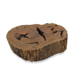 Bahia Pequi Trunk Coffee Table