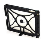 iPad 2 Case (Bright Natural Classic)