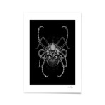 Fantasmagorik Insects 1 (Print // 16"L x 20"H)