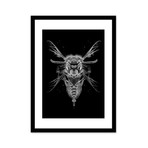 Fantasmagorik Insects 2 (Print // 20"L x 28"H)