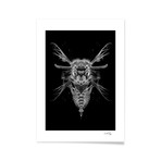 Fantasmagorik Insects 2 (Print // 20"L x 28"H)