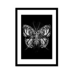 Fantasmagorik Insects 3 (Print // 16"L x 20"H)