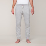 Slim Fit Sweat Pants // Grey (XS)