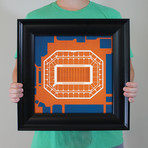 Carrier Dome (12"W x 12"H // Unframed)