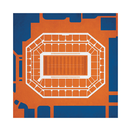 Carrier Dome (12"W x 12"H // Unframed)
