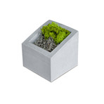 ANGL Concrete Planter (Gray)