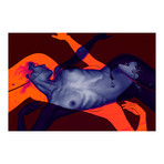 ABSTRACT NUDE 46 (16"L x 24"H)