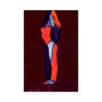 ABSTRACT NUDE 39 (16"L x 24"H)