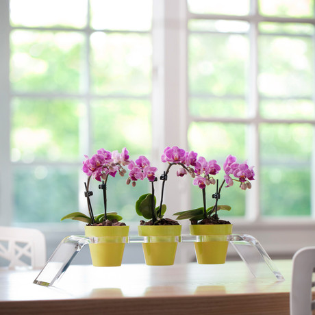 Revol-ver Planter (Red)