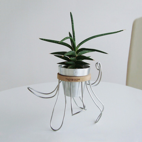 Ozzy Planter // Natural