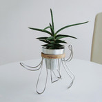 Ozzy Planter // Natural