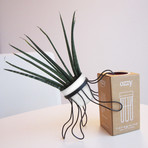 0d0f5eb4f48383a3c06257f34b62778e small