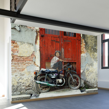 'Boy on a Bike' Street Art Wall Mural Decal (100"L x 100"W)