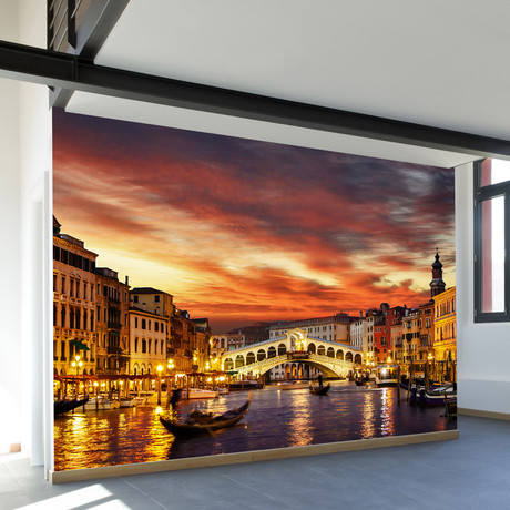 Oh Venice! My Venice! Wall Mural Decal (100"L x 100"W)