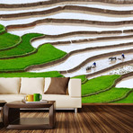 Vietnamese Terraced Rice Field Wall Mural Decal (100"L x 100"W)