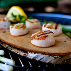 Grilling Salt Plates and Wood Planks