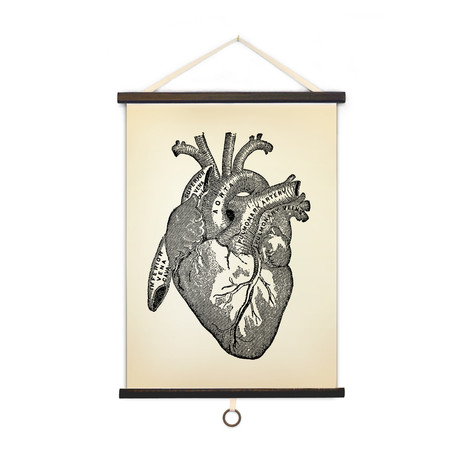 Vintage Anatomy // Heart