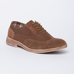 Vinci Oxford // Brown (Euro: 41)