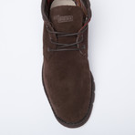 Pasione Boot // Chocolate (Euro: 42)