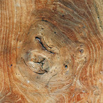 Tree Carving // Bundle (Faceplate + INLET Bundle)
