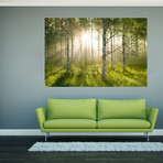 Enchanted Forest (32"H x 47.2"W)