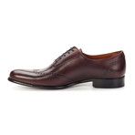 The West Classic Wingtip // Oxblood (US: 8)