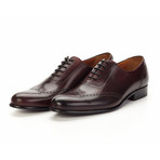 The West Classic Wingtip // Oxblood (US: 8)