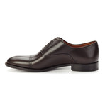 The Grant Captoe Oxford // Dark Brown (US: 7)