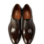 The Grant Captoe Oxford // Dark Brown (US: 7)