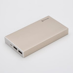 Boss Power Bank // 10000mAh with Protective Case (Silver)