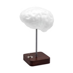 Brain // Table Lamp