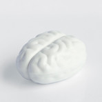 Brain // Container