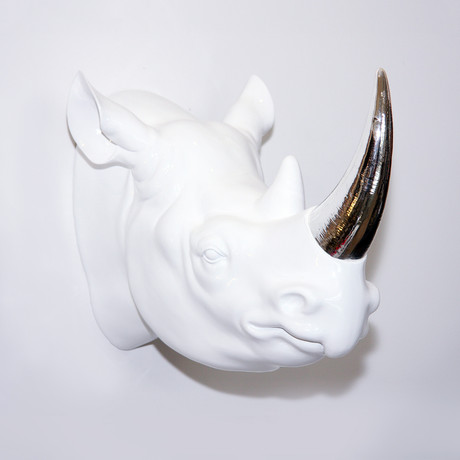 Rhino Head