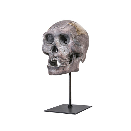 Skull Tabletop Décor // Grey