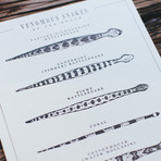 Venomous Snakes // Letterpress