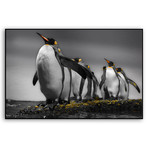 Penguins (Mounted Aluminum // 20"L x 13"H)