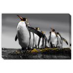 Penguins (Mounted Aluminum // 20"L x 13"H)