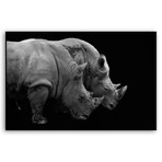 Rhino (Mounted Aluminum // 20"L x 13"H)