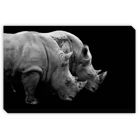 Rhino (Mounted Aluminum // 20"L x 13"H)