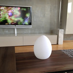 PHILADELPHIA // Decorative Egg + SmartBox