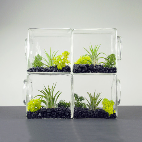 Set of 4 Stackable Eco Cube Terrariums