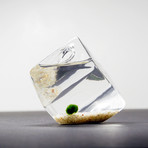 Mini Geometric // Moss Ball Aquarium