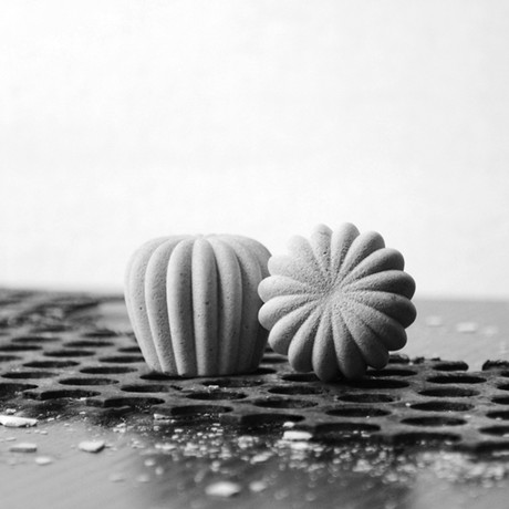 Audrey Concrete Knobs