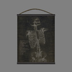 Anatomy Frontal Skeleton Hanging Canvas