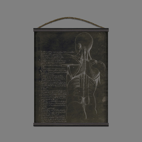 Anatomy Torso Hanging Canvas