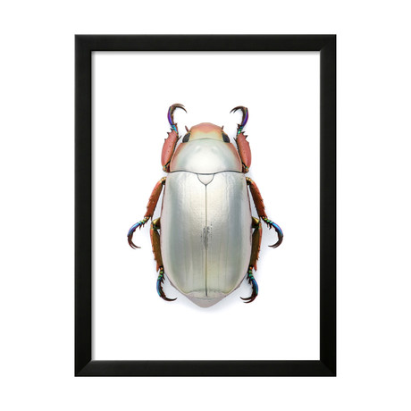 Jeweled Scarab