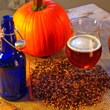 Harvest Pumpkin Ale Recipe Kit