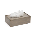 Scatola di Platino Quartzo Bianco