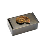 Scatola di Bronzo Ammonita