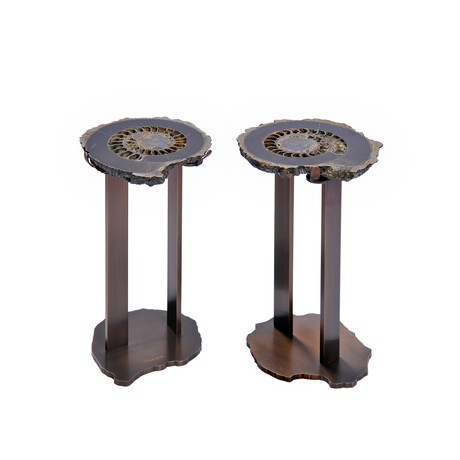 Accento Ruso Ammonita